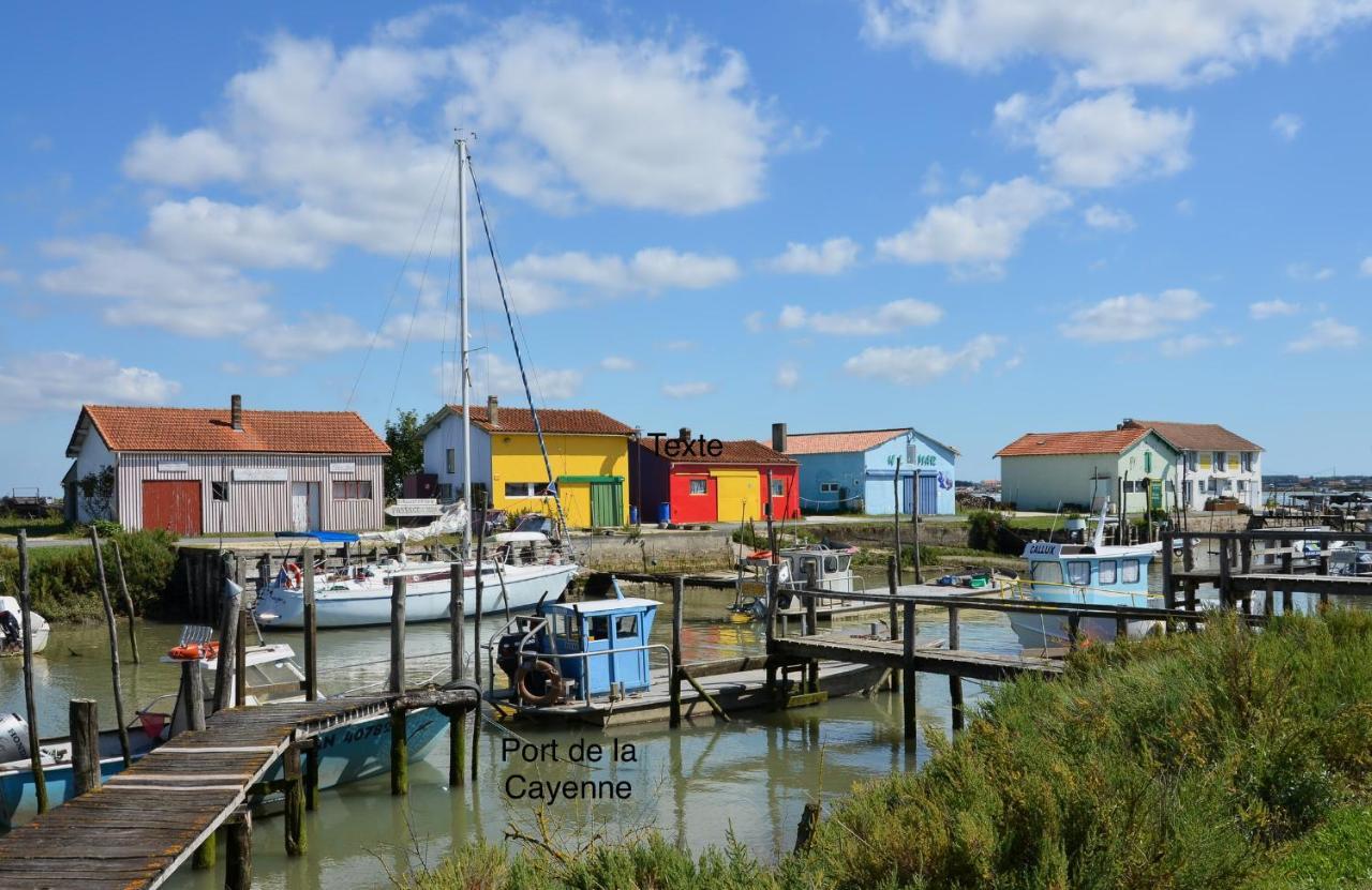Вилла Entre Plage Et Marais Bourcefranc Экстерьер фото